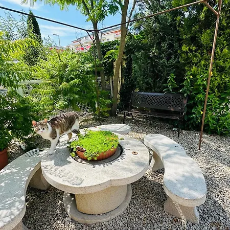 Aranyparti Apartman דירה